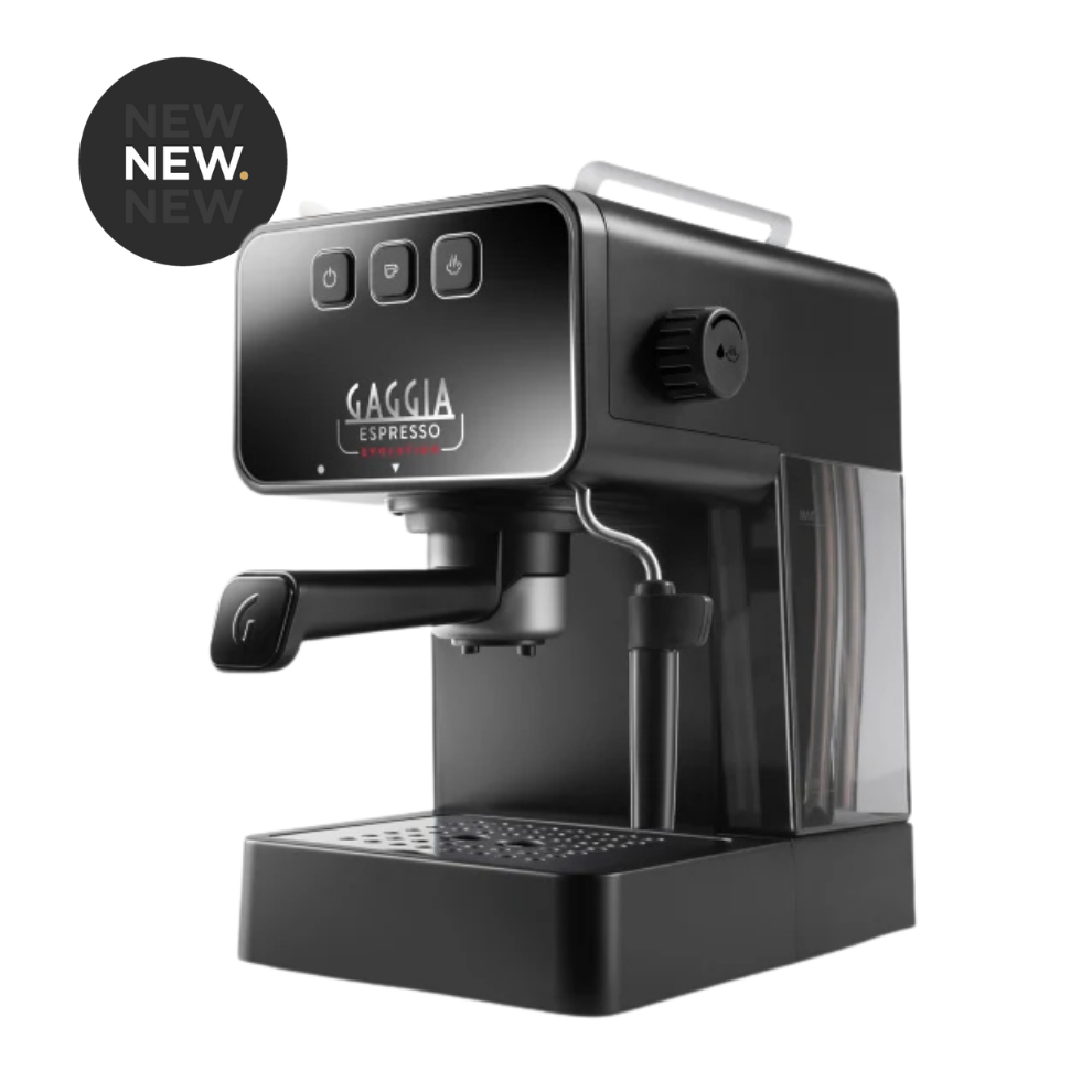 Gaggia Evolution Manual