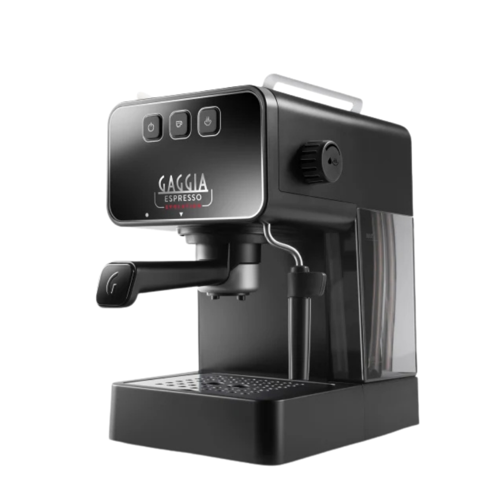 Gaggia Evolution Manual