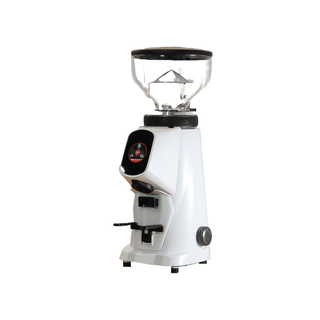 Fiorenzato Classic All Ground Coffee Grinder