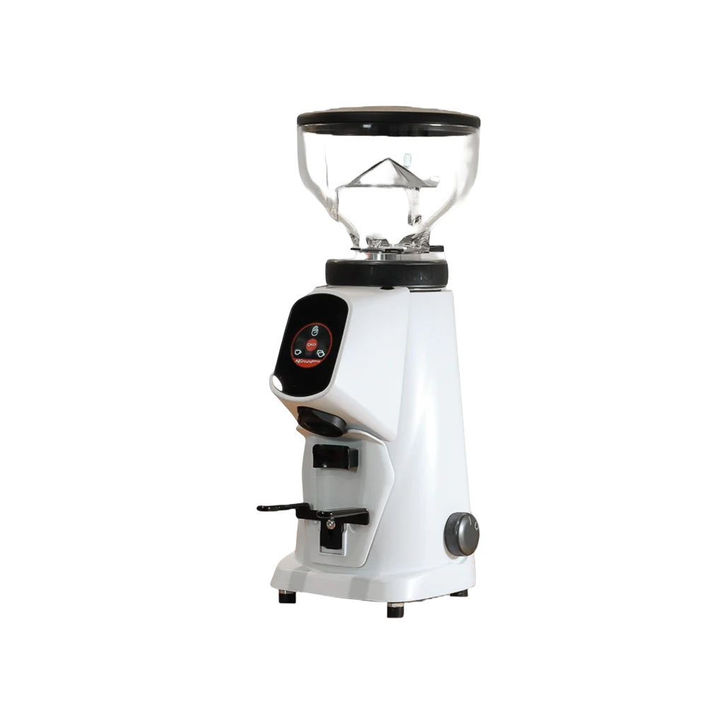 Fiorenzato Classic All Ground Coffee Grinder